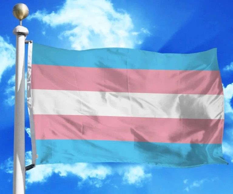 Bandiera dell'Orgoglio Transgender 3x5 ft, Banner Rosa Blu per Transessuali e Travestiti Bandiera dell'Orgoglio Transgender 3x5 ft, Banner Rosa Blu per Transessuali e Travestiti