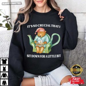 It's So Crucial That I Sit Down For A Little Bit T Shirt (2)
