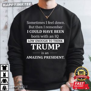 Sometimes I Feel Down Funny Anti Trump Political Satire T Shirt (4)